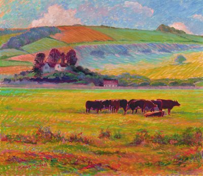 Abendliche Rinder, Cuckmere Valley, Sussex von Robert Tyndall